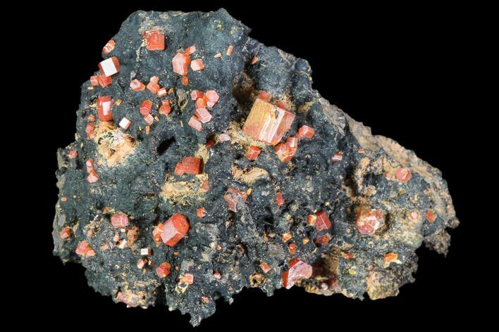 Red Vanadinite Crystals On Manganese Oxide - Morocco #103583
